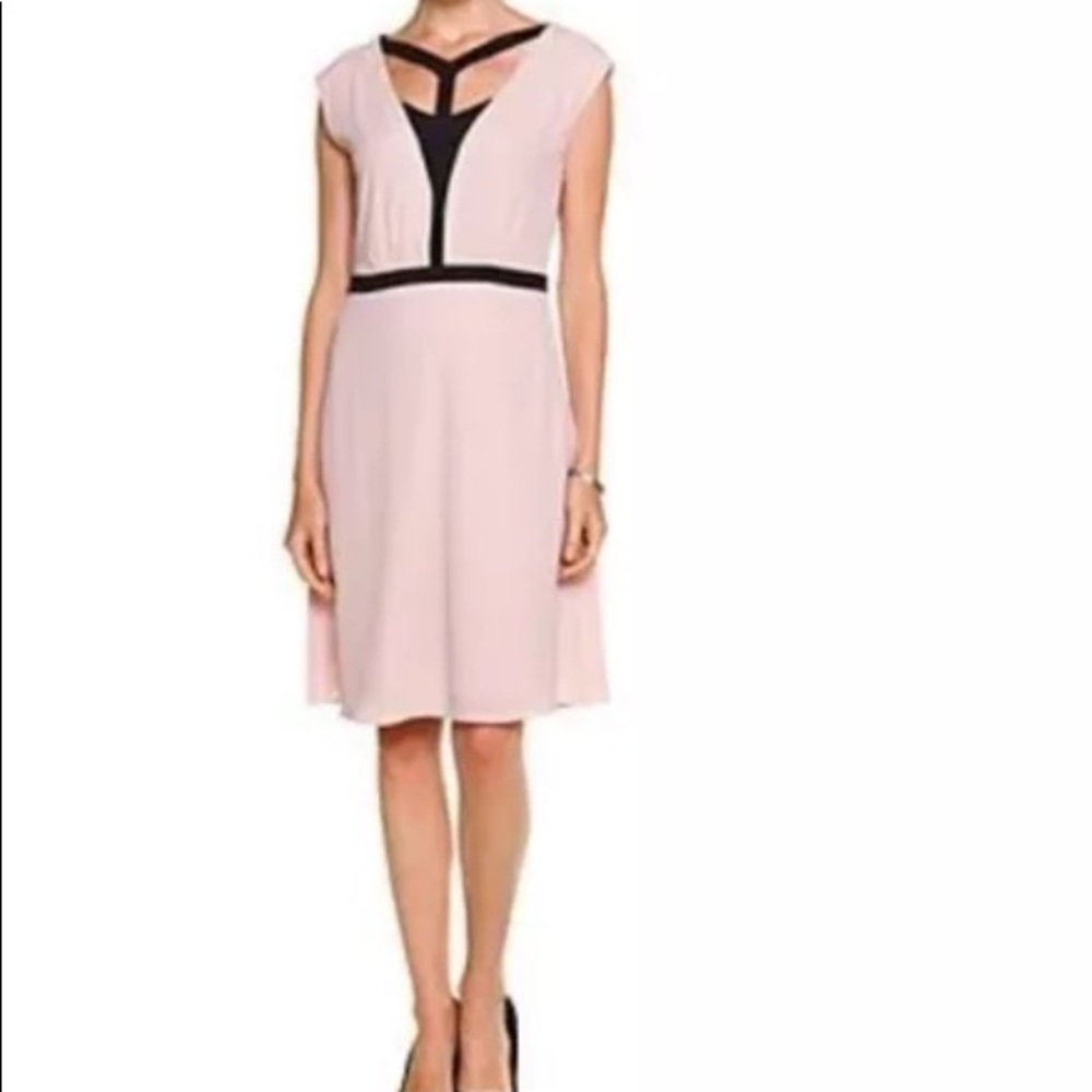 BCBG Max Azria bare pink Katryn sleeveless dress